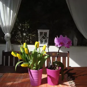 apartment-villa-holiday-ii.pula-hotels.org/